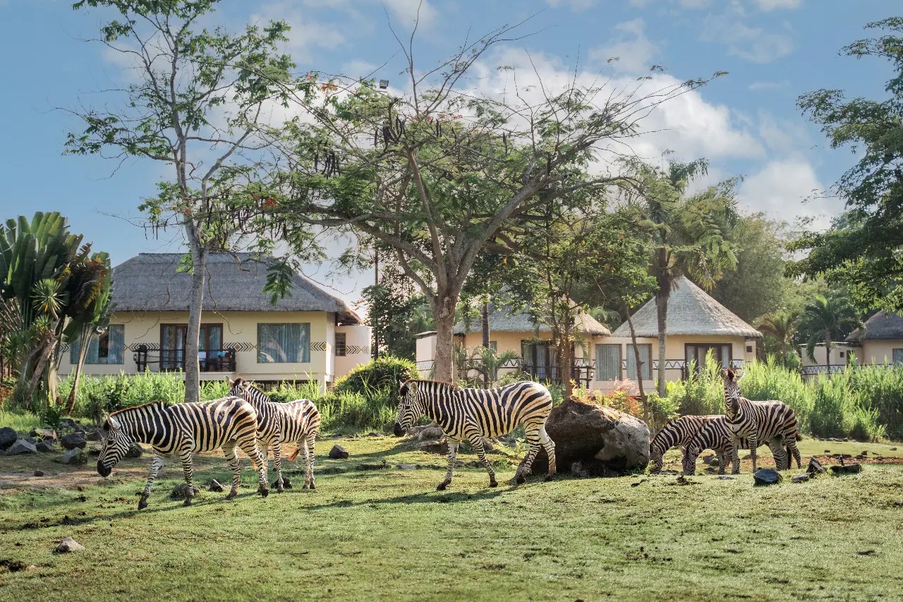 Mara River Safari Lodge