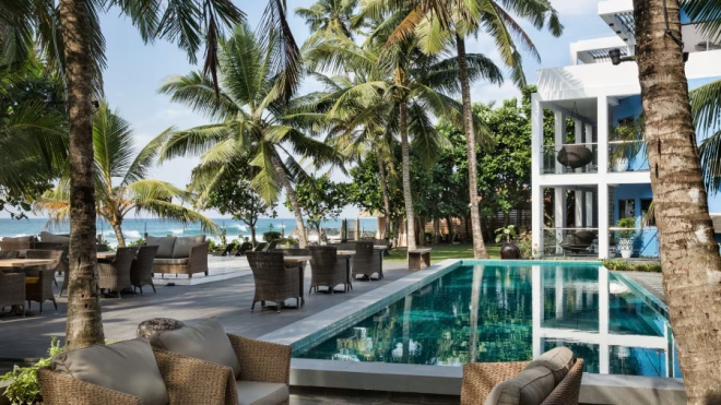 Owl and the Pussycat Owl and the Pussycat