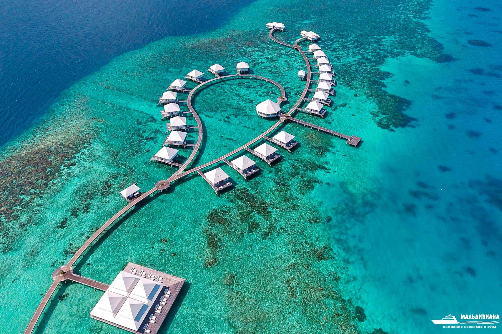 Отель Diamonds Thudufushi Maldives Отели на Мальдивах 🌴 Описание отеля и  бронирование тура