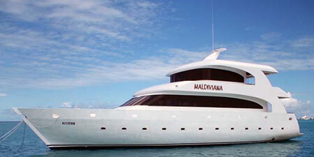 2002 2002