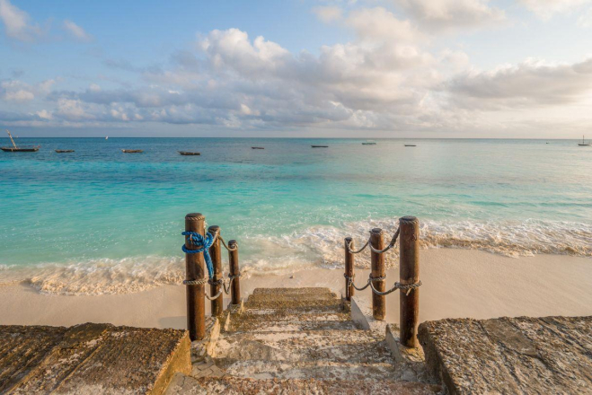 Spice Tree By Turaco