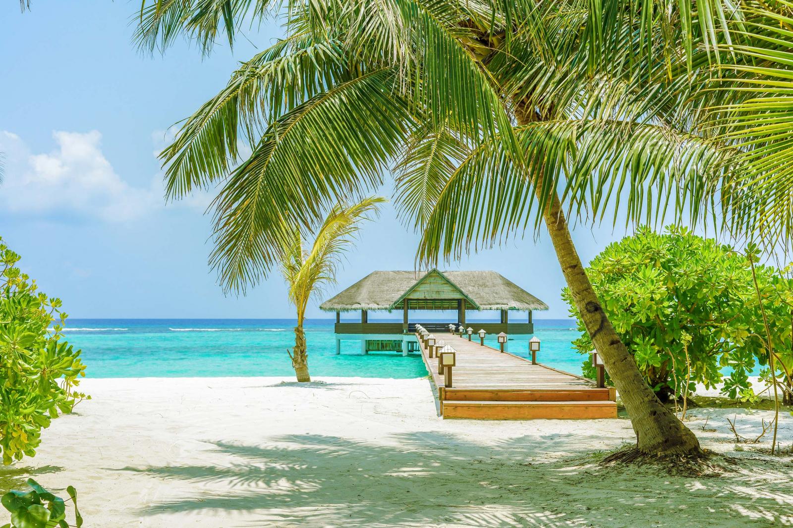 Palm Beach Мальдивы