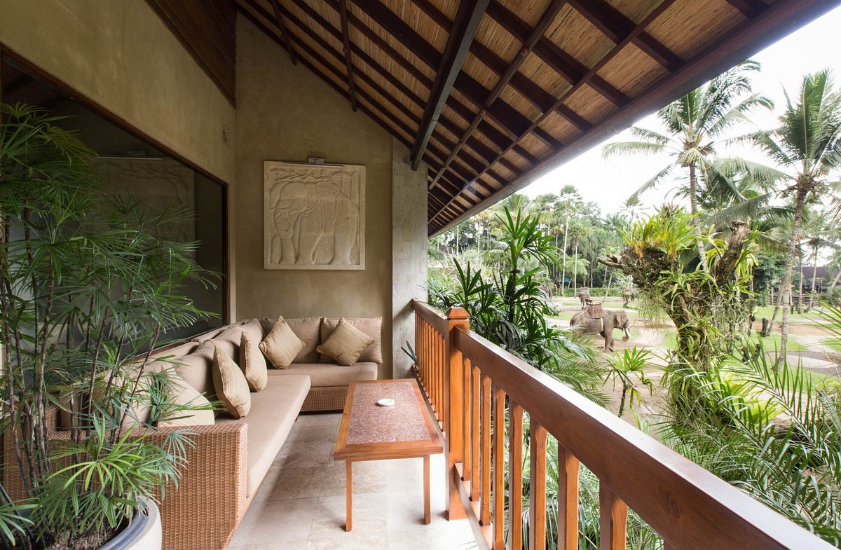 Mason Elephant Park and Lodge