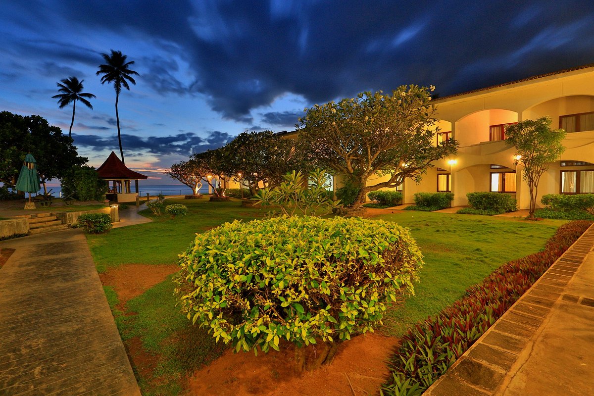 Lanka Super Coral Lanka Super Coral