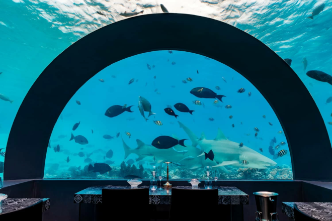 You & Me by Cocoon Maldives You & Me by Cocoon Maldives