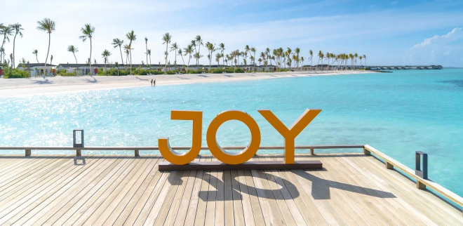 Joy Island by the Cocoon Collection