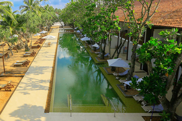 Pandanus Beach Resort Pandanus Beach Resort