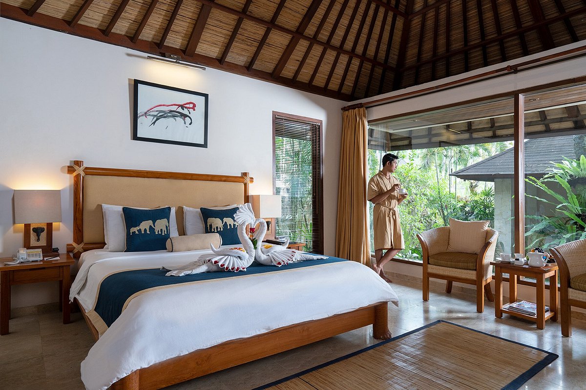 Mason Elephant Park and Lodge