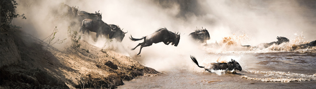 kenya_tour.jpg kenya_tour.jpg