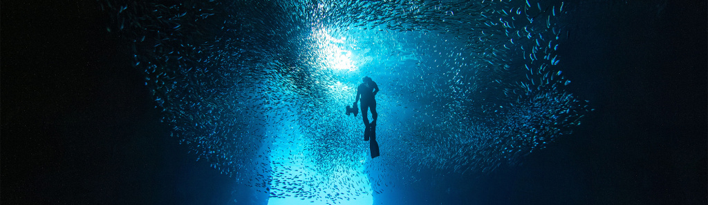 Дайвинг на Мальдивах.jpg Дайвинг на Мальдивах.jpg