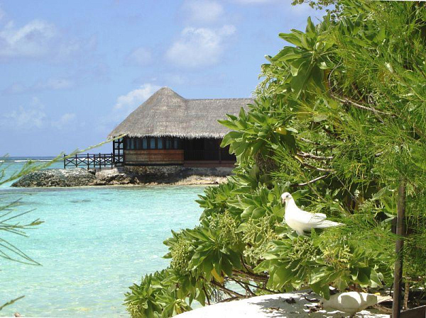 Summer Island Maldives