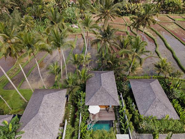 Kappa Senses Ubud Kappa Senses Ubud