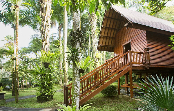 Mason Elephant Park and Lodge