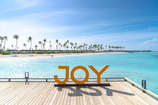 Joy Island by the Cocoon Collection