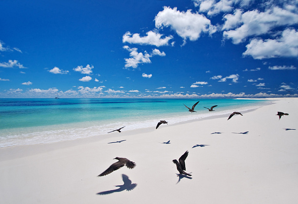 Bird Island Lodge (Bird Island) Bird Island Lodge (Bird Island)