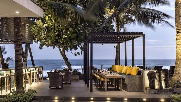 Owl and the Pussycat