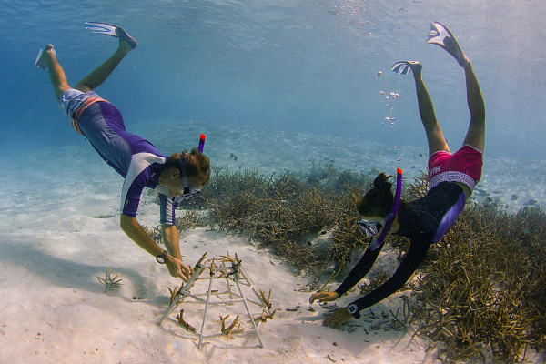 Anantara Veli Maldives Resort