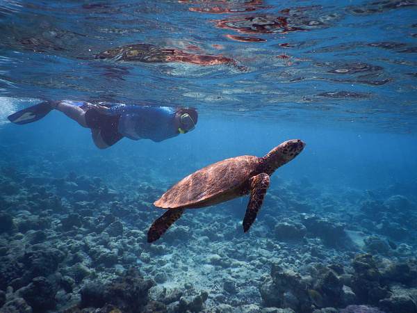 Reethi Faru Bio Resort  Reethi Faru Bio Resort