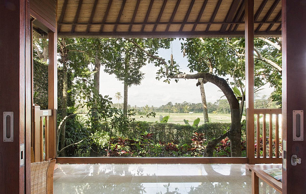 Mason Elephant Park and Lodge