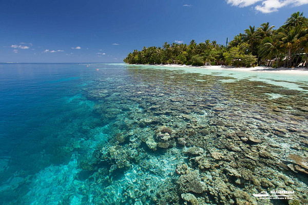 Vilamendhoo Island Resort & Spa