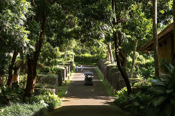 Alila Ubud
