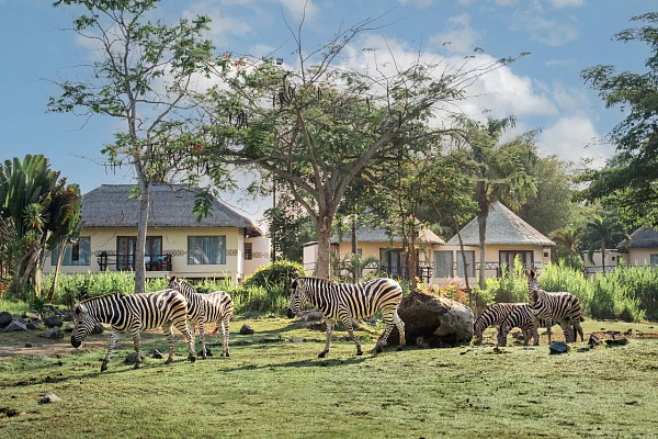 Mara River Safari Lodge