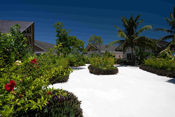 Cora Cora Maldives Cora Cora Maldives