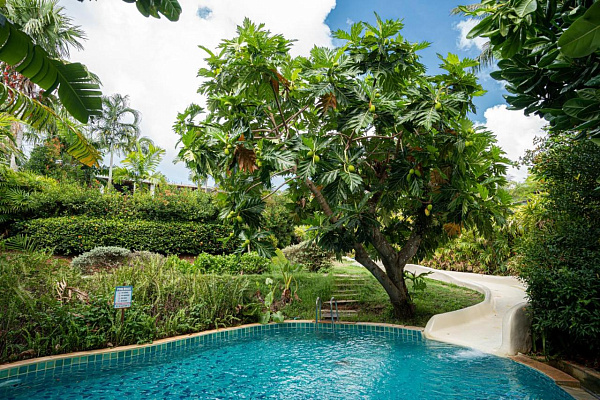 Barcelo Сoconut Island Phuket Barcelo Сoconut Island Phuket