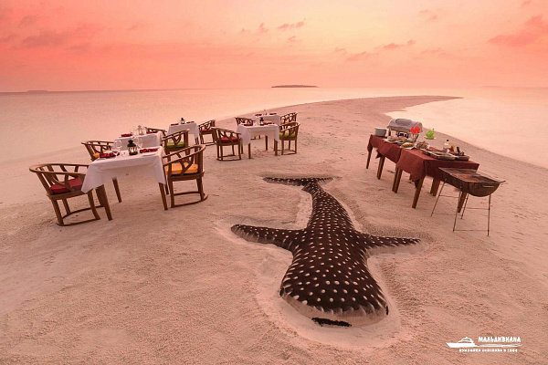 Dhigufaru Island Resort