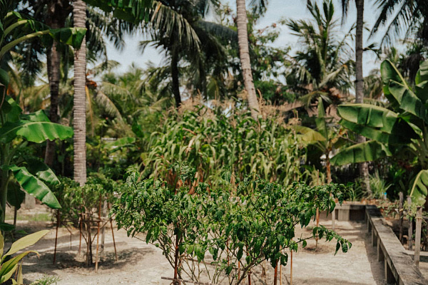 SAii Lagoon Maldives