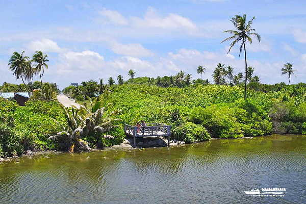 Equator Village Equator Village