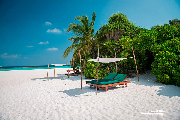 Coco Palm Dhuni Kolhu