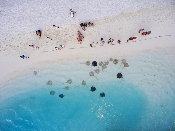 Villa Park (Sun Island)