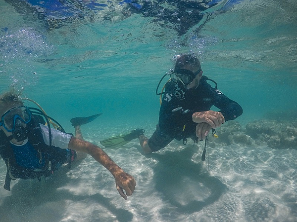 Filitheyo Island Resort 