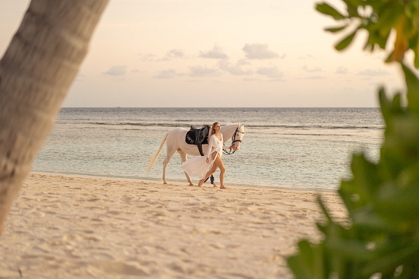 Siyam World Siyam World