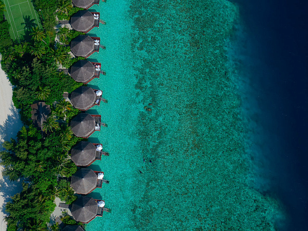 Safari Island Resort & Spa