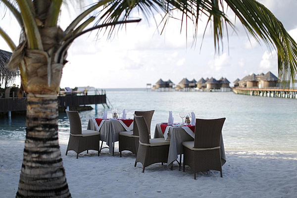 Nika Island Resort & Spa Nika Island Resort & Spa