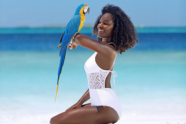 Malahini Kuda Bandos