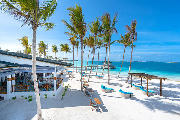 Joy Island by the Cocoon Collection