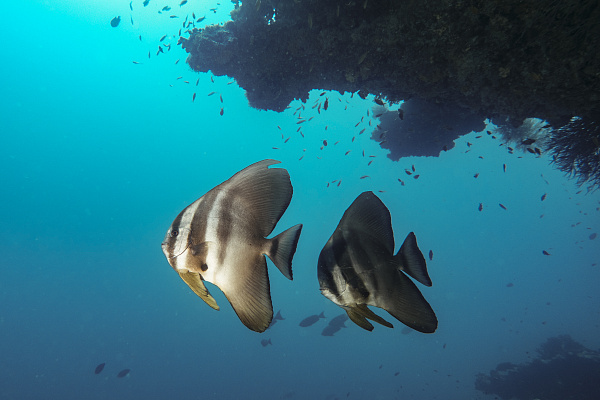 Sun Siyam Iru Fushi Maldives