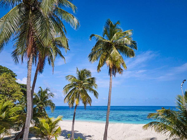 Akomadoo Retreat Guesthouse