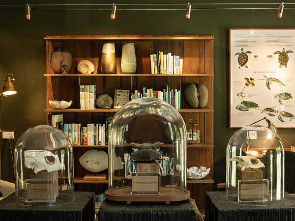 North Island a Luxury Collection Resort (North)