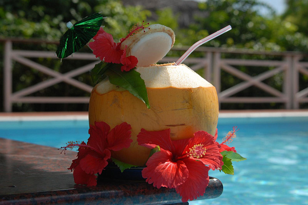 La Digues Island Lodge (La Digue)