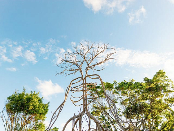 Cheval Blanc Seychelles