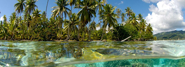 Le Taha'a Private Island