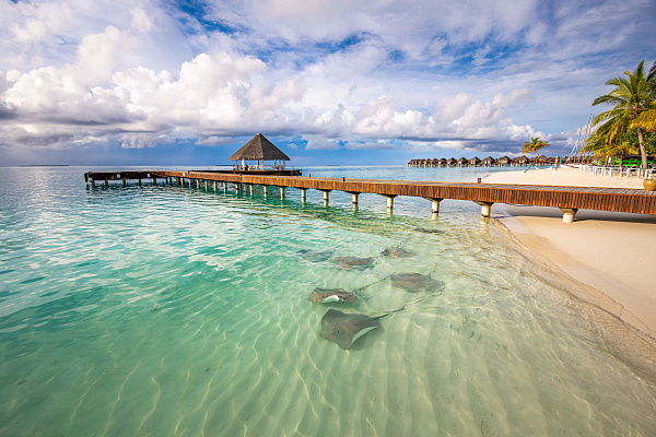 Sun Siyam Vilu Reef Maldives Sun Siyam Vilu Reef Maldives