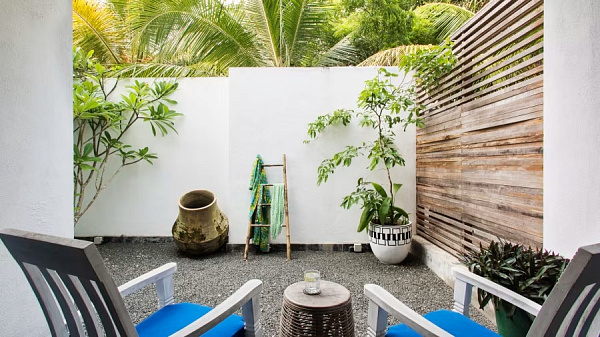 Owl and the Pussycat