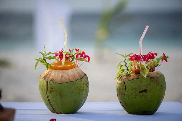 Safari Island Resort & Spa