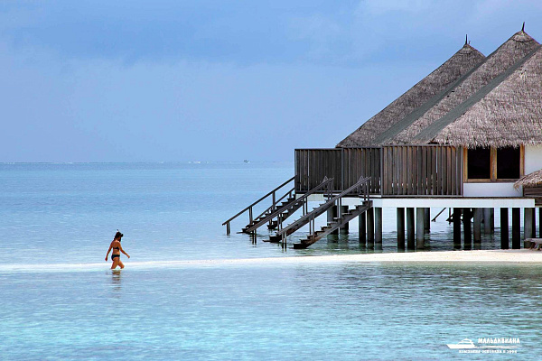 Gangehi Island Resort