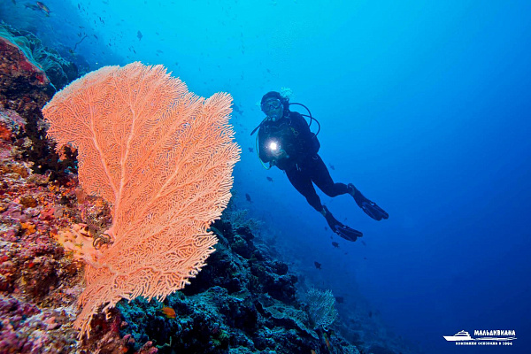 Innahura Maldives Resort